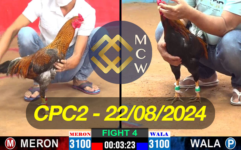 ĐÁ GÀ TRỰC TIẾP CPC2 NGÀY 22/08/2024