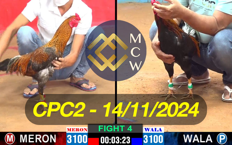 ĐÁ GÀ TRỰC TIẾP CPC2 NGÀY 14/11/2024