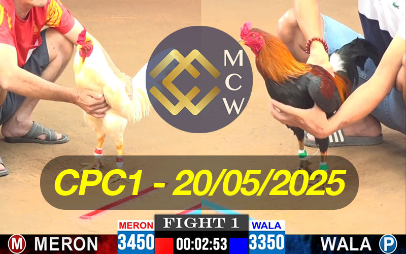 ĐÁ GÀ TRỰC TIẾP CPC1 NGÀY 20/05/2025