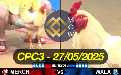ĐÁ GÀ TRỰC TIẾP CPC3 NGÀY 27/05/2025