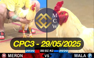 ĐÁ GÀ TRỰC TIẾP CPC3 NGÀY 29/05/2025